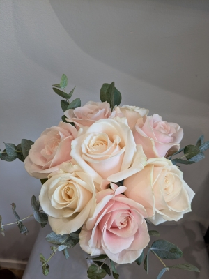 Elegant Blush Rose bridal collection