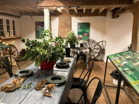 Daytime Christmas Wreath Making Workshops
